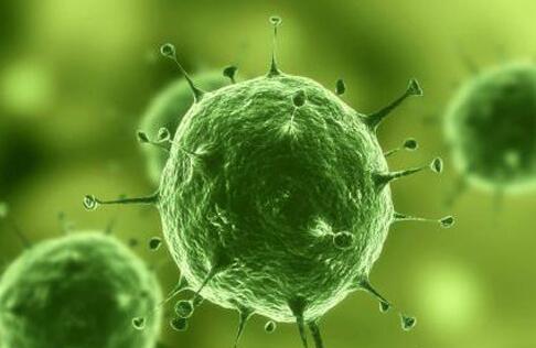 ʡȷH7N9