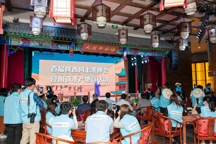 首届陕西网上茶博会泾阳茯茶专场推介举办