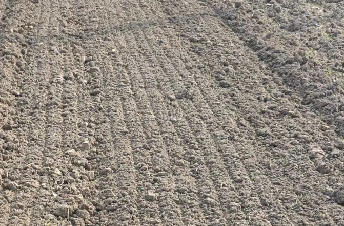 ���ϣ���ѧʩ�� ������